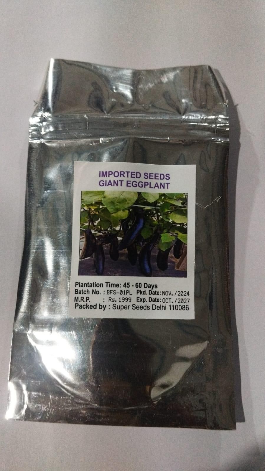 Giant Eggplant / Brinjal Seeds